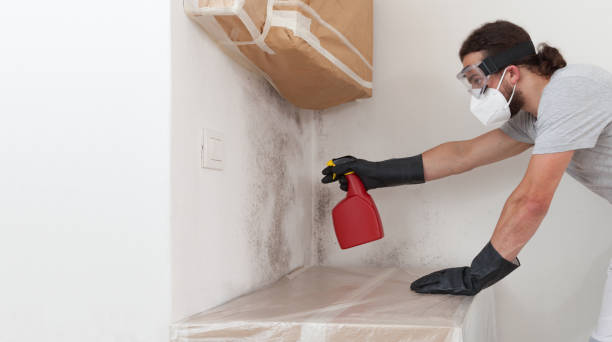 Professional Mold Cleanup technician working in Centreville, MI