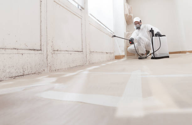 24/7 Emergency Mold Cleanup experts in Centreville, MI